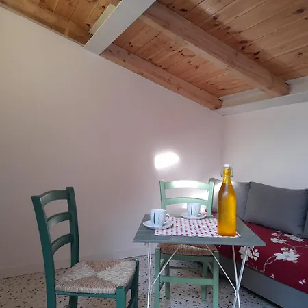 Coccodrillo Fiorito 3*